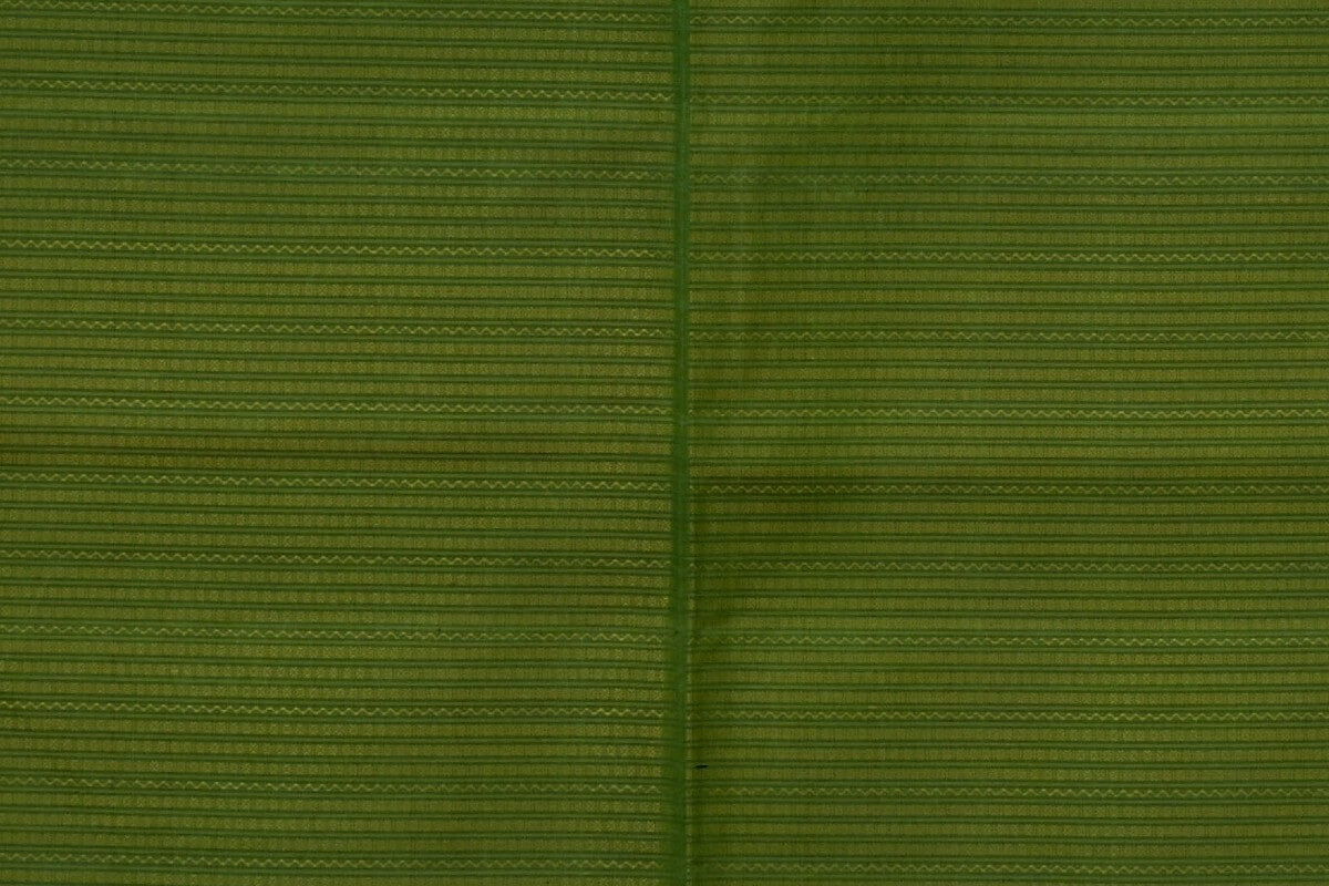 Kanjivaram Silk Saree RB003