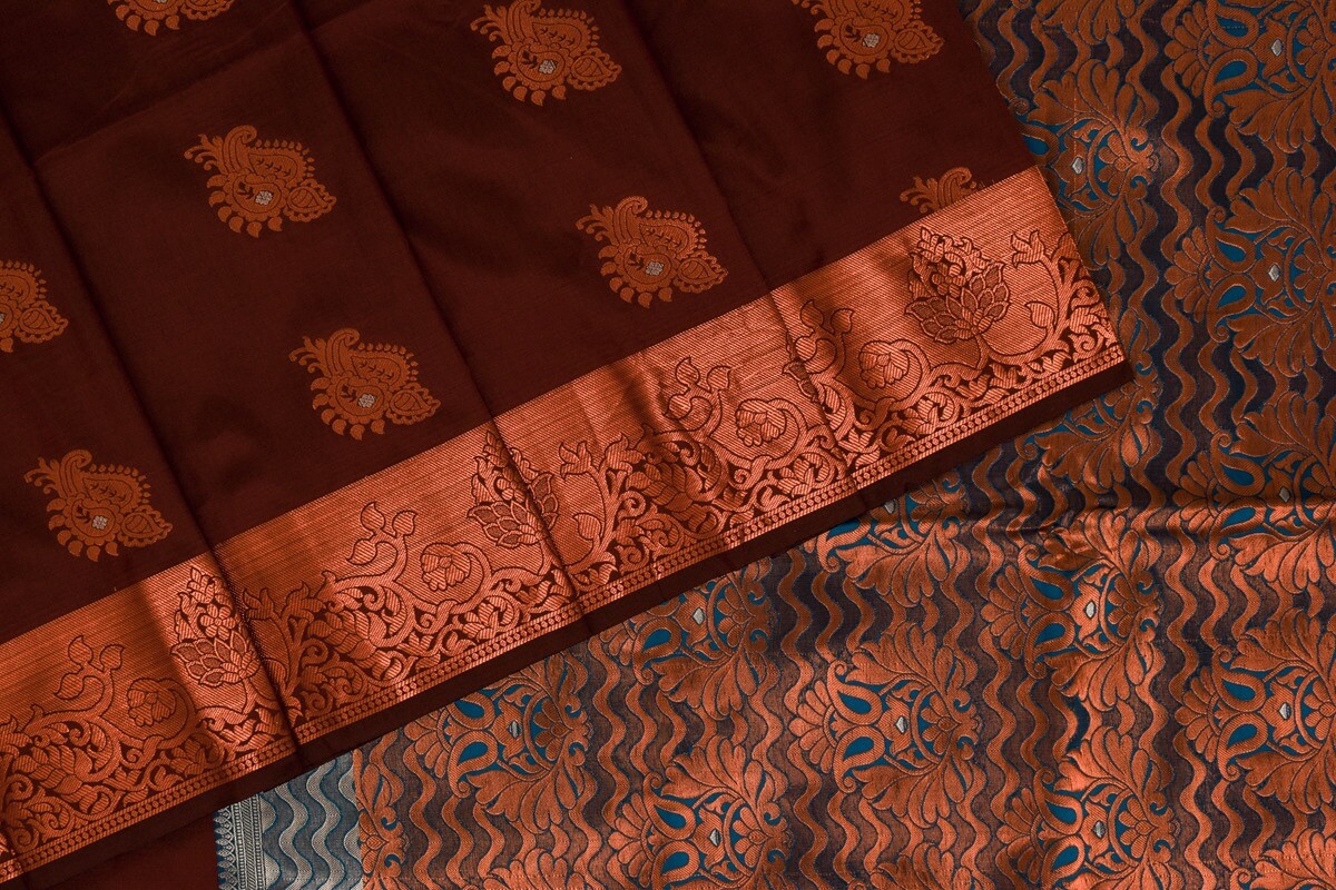Elegant Charani - Handwoven Borderless Kanchipuram Pure Silk Saree
